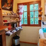 Le Mouflon Lioran Laveissière