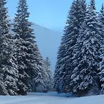 Le Mouflon Lioran