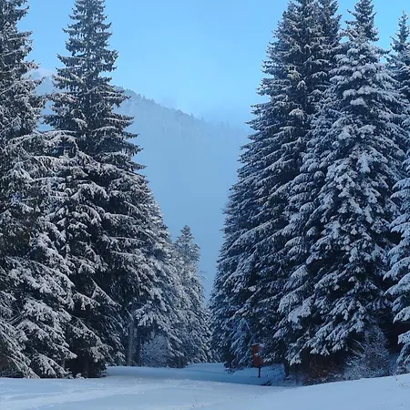 Le Mouflon Lioran * Laveissière