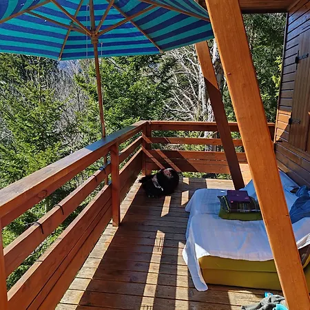 Le Mouflon Lioran Laveissière